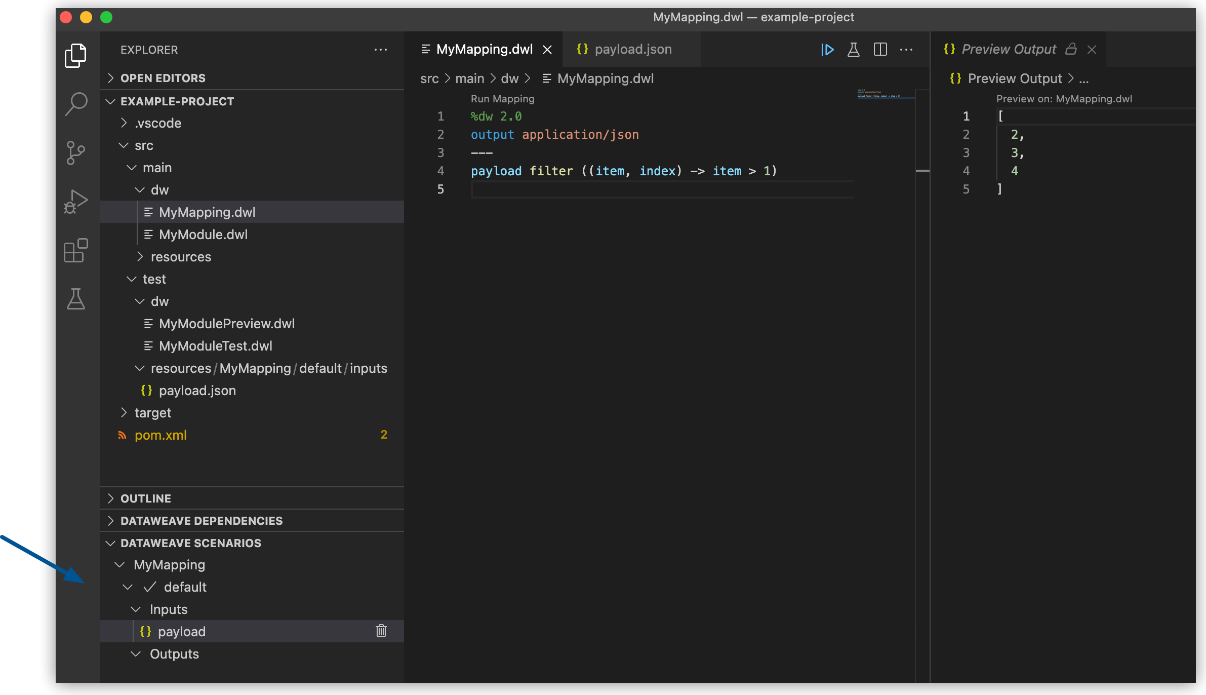 Generated new sample data payload.json file as input for the MyMapping.dwl file
