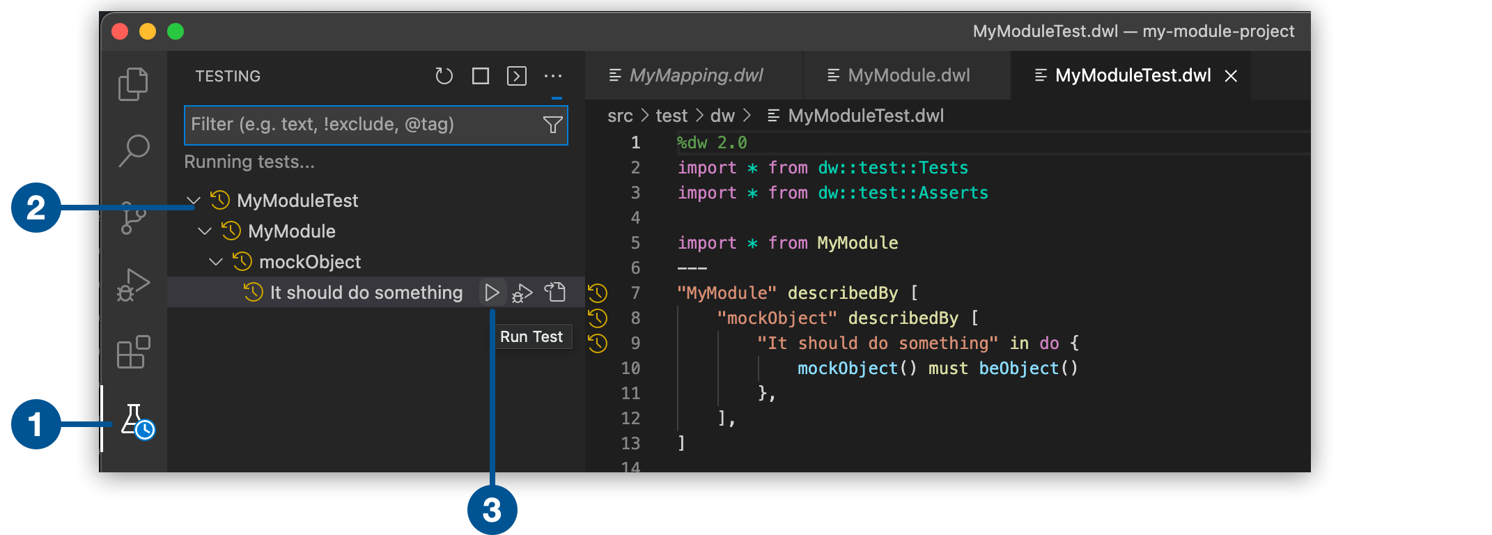 MyModuleTest file in the TESTING TAB and Run Test button