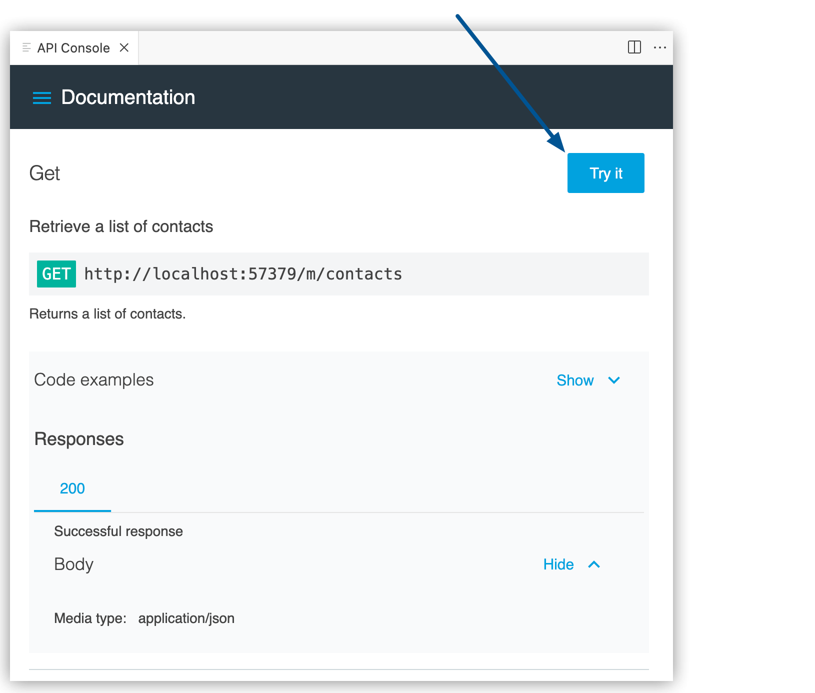 API Console の [Try It (試す)] ボタン