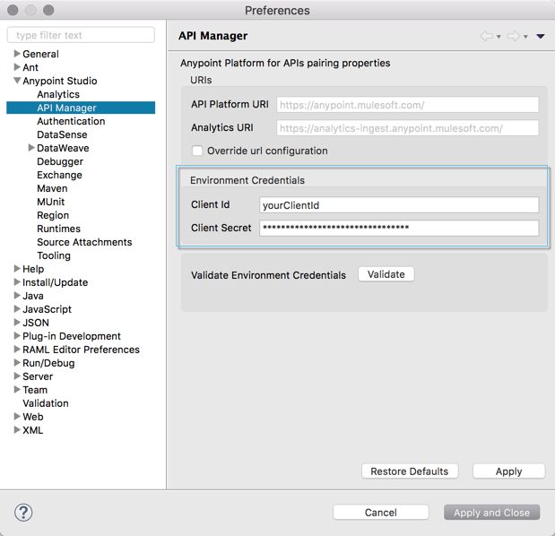 API プラットフォームおよびアナリティクス URI の入力が可能なフォーム