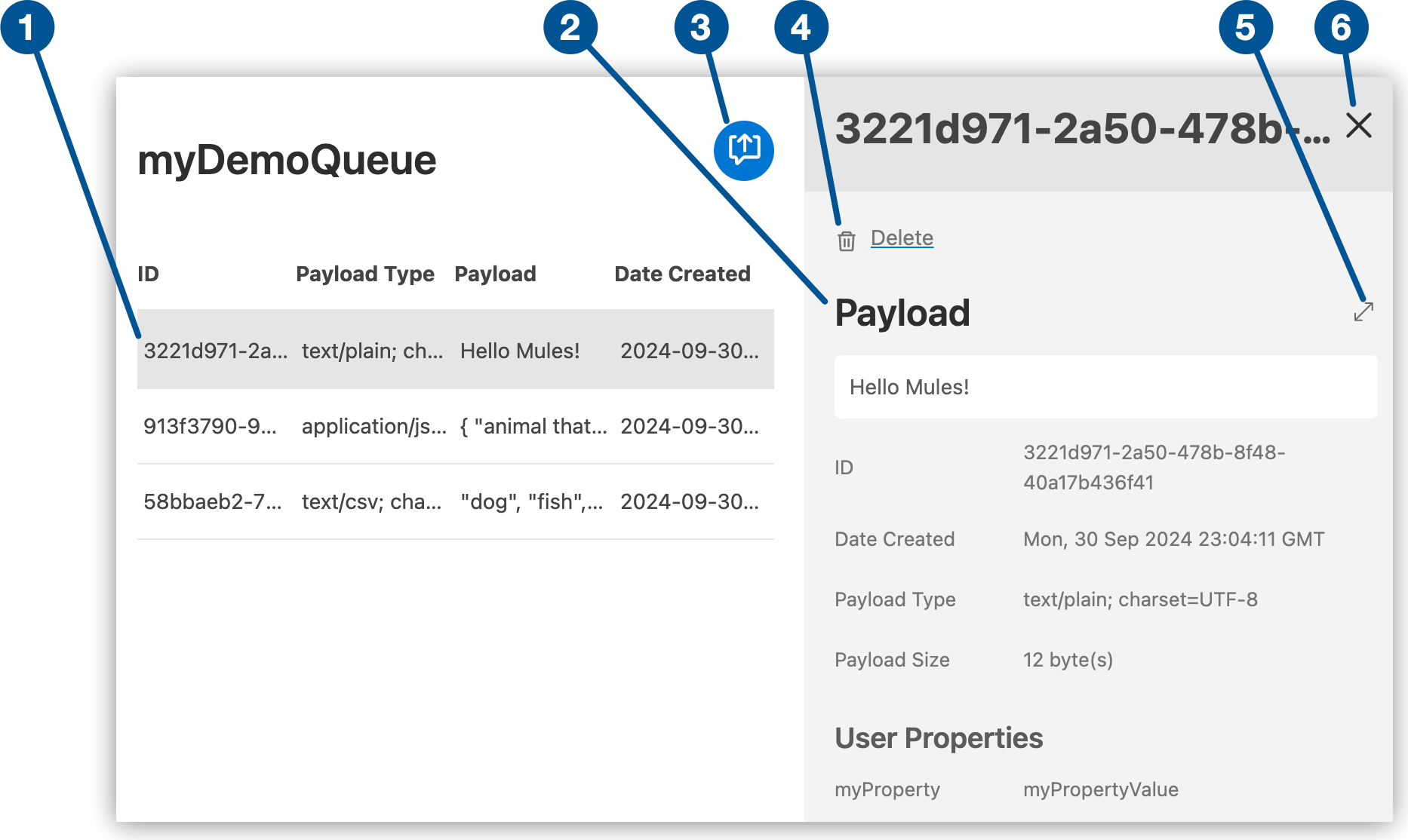 Message Browser showing the selected message and the details pane showing the payload, and Return Messages, Delete, Full Screen, and Close icons