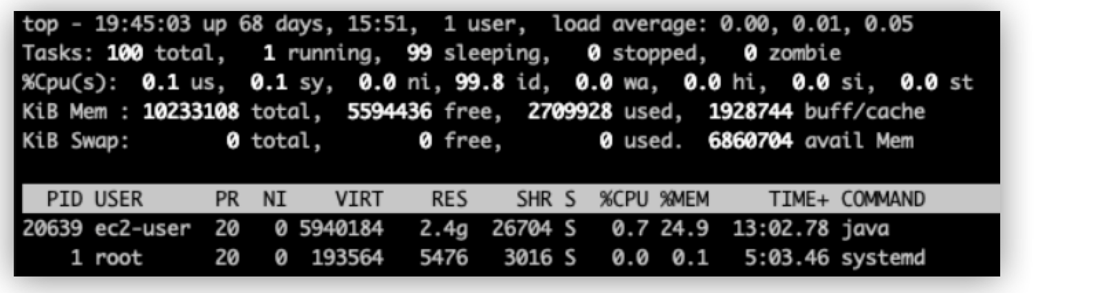 A system monitoring output with process details including CPU and memory usage
